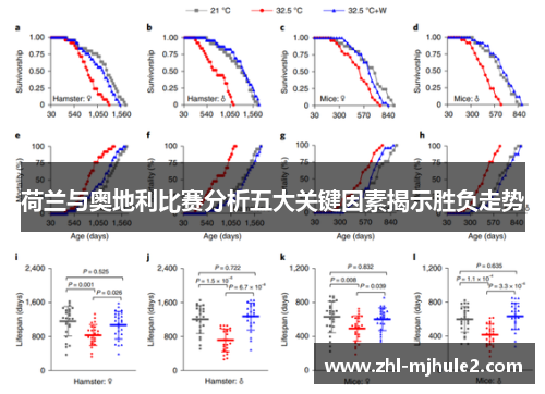 荷兰与奥地利比赛分析五大关键因素揭示胜负走势 荷兰与奥地利比赛分析五大关键因素揭示胜负走势
