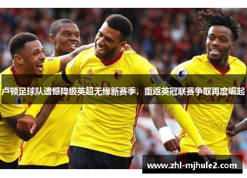 卢顿足球队遗憾降级英超无缘新赛季，重返英冠联赛争取再度崛起