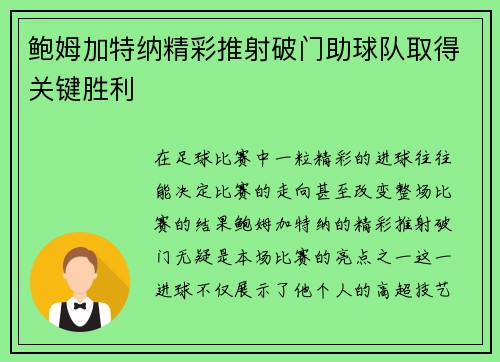鲍姆加特纳精彩推射破门助球队取得关键胜利